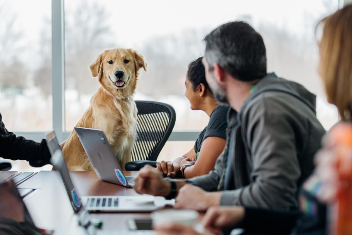 Consigli pratici per un colloquio di lavoro efficace! - Roberto Pesce