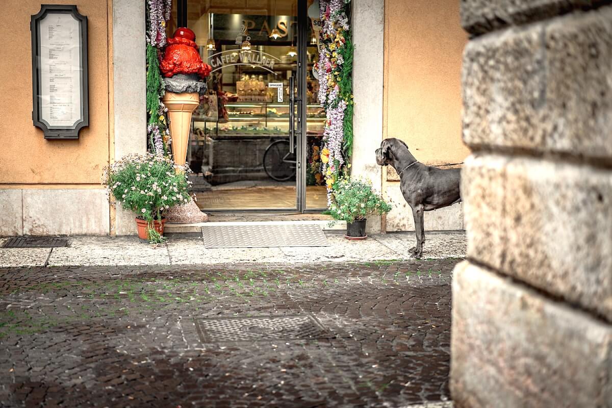 cicli del mercato