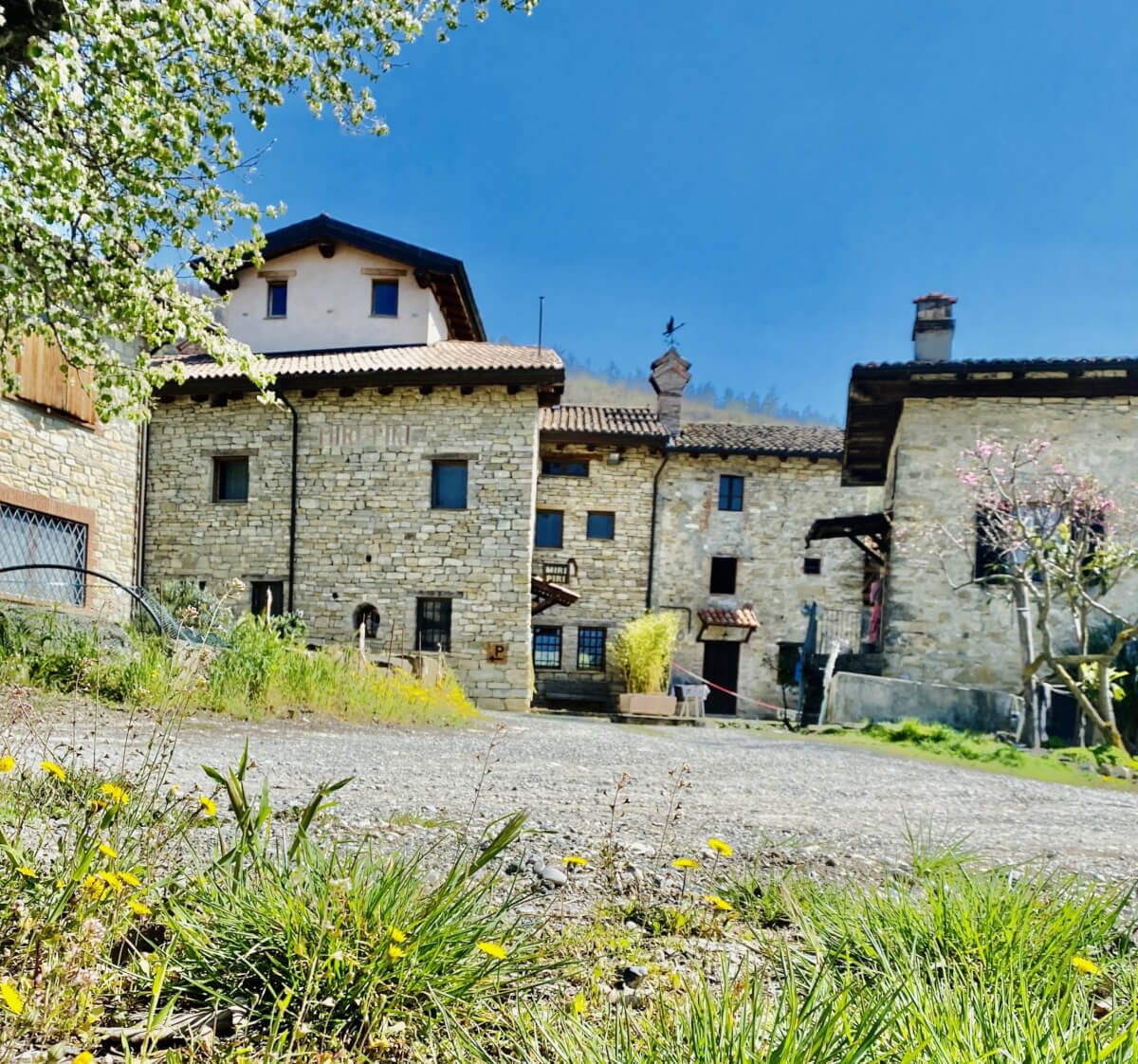 libertà finanziaria corso
